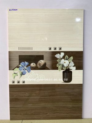 Gạch dán tường 30x60 long an