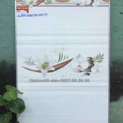 Gạch dán tường bếp 30x60