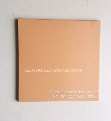 Gạch đỏ lát sân tphcm