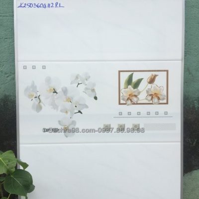 Gạch ốp tường 30x60 đẹp