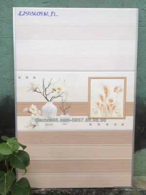 Gạch ốp tường giá rẻ 30x60