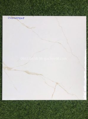 Gạch lát nền nhà vệ sinh 60x60 tphcm