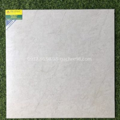 Gạch lát nền nhà vệ sinh nhám mờ 60x60