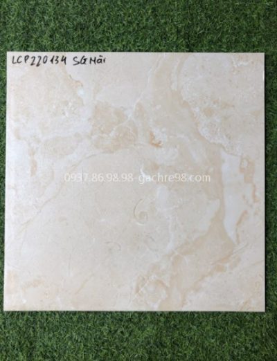 Gạch lát nền nhám mờ 60x60 hcm