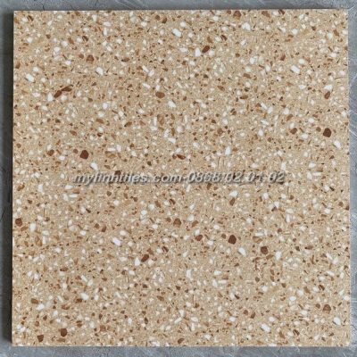 Gạch đá mài terrazzo hcm