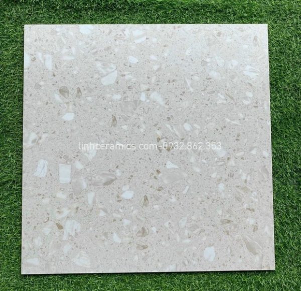 Gạch terrazzo 60x60 lát nền