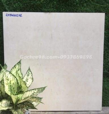 Gach-mo-lat-nen-mau-kem-hcm