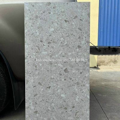 Gạch terrazzo 600x1200 ốp nhà tắm