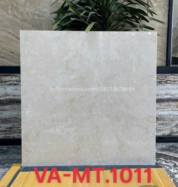 Gạch màu kem 100x100 giá rẻ Ấn Độ