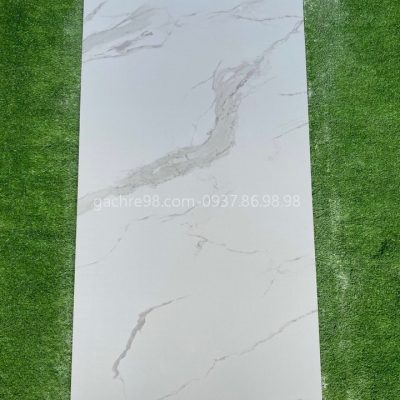 Gạch Ấn Độ 60x120 trắng vân marble