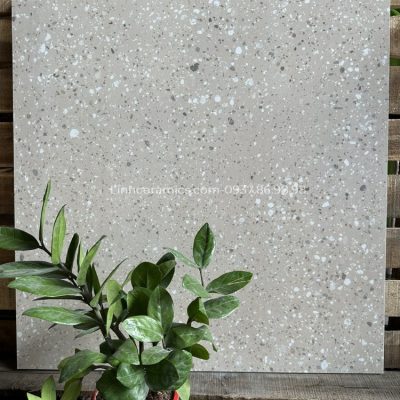 Gạch đá mài terrazzo lát nền 600x600