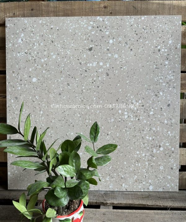 Gạch đá mài terrazzo lát nền 600x600