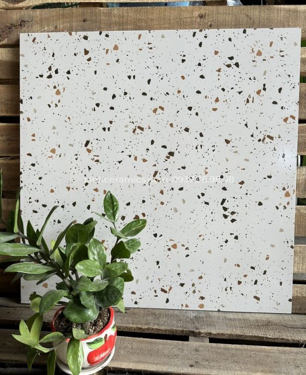 Gạch ốp tường phòng tắm 600x600 terrazzo