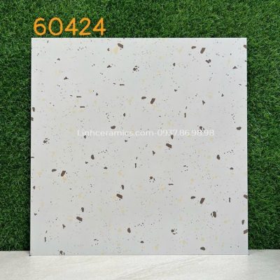 Gạch ốp tường WC 600x600 terrazzo