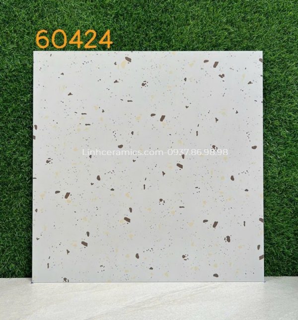 Gạch ốp tường WC 600x600 terrazzo