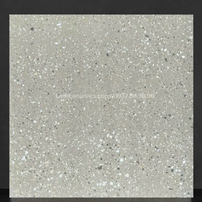 Gạch terrazzo 600x600 giá rẻ tại kho HCM