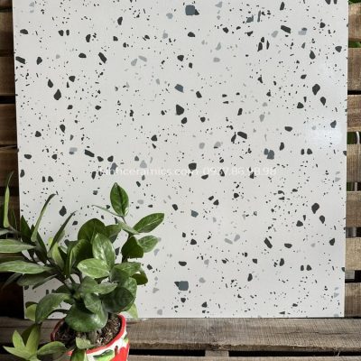 Gạch terrazzo lát nền nhà 600x600 rẻ