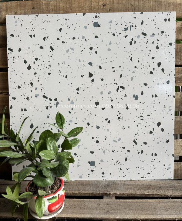 Gạch terrazzo lát nền nhà 600x600 rẻ