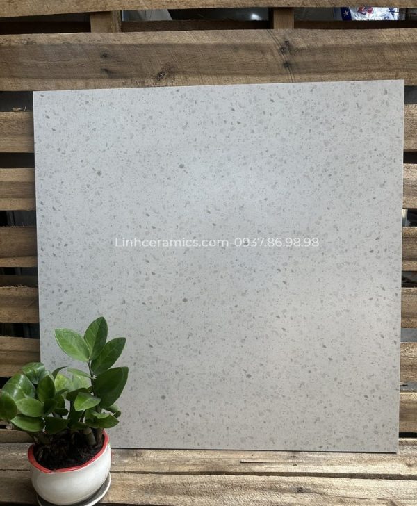 Giá gạch terrazzo 600x600 mặt nhẵn