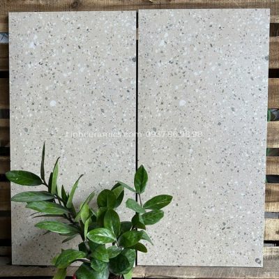 Gạch giả đá mài terrazzo 30x60 ốp nhà tắm