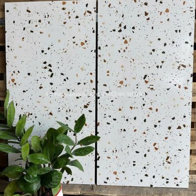 Gạch ốp tường nhà tắm 30x60 vân đá terrazzo