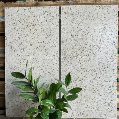 Gạch terrazzo 30x60 ốp wc tphcm